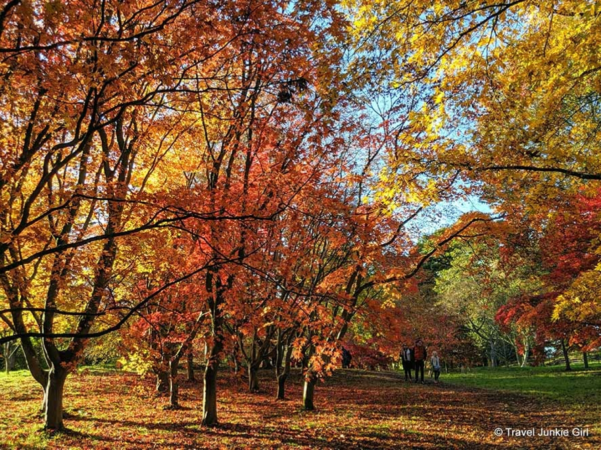 Best Places to See Autumn Colour in the UK - Travel Junkie Girl